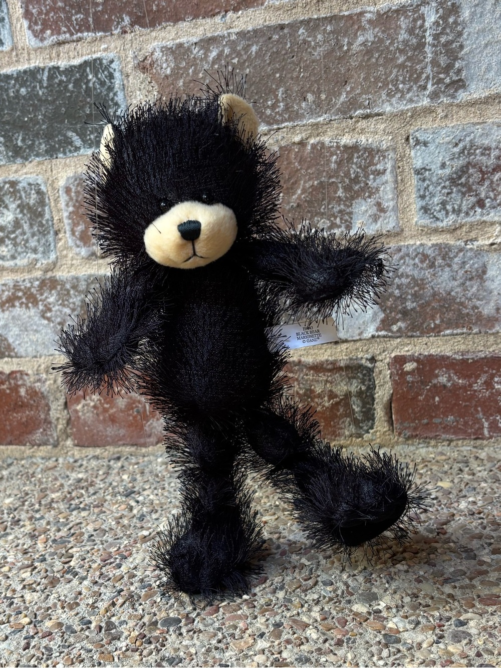 Ganz Marionette Black Bear (Model H6143)